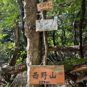 山頂