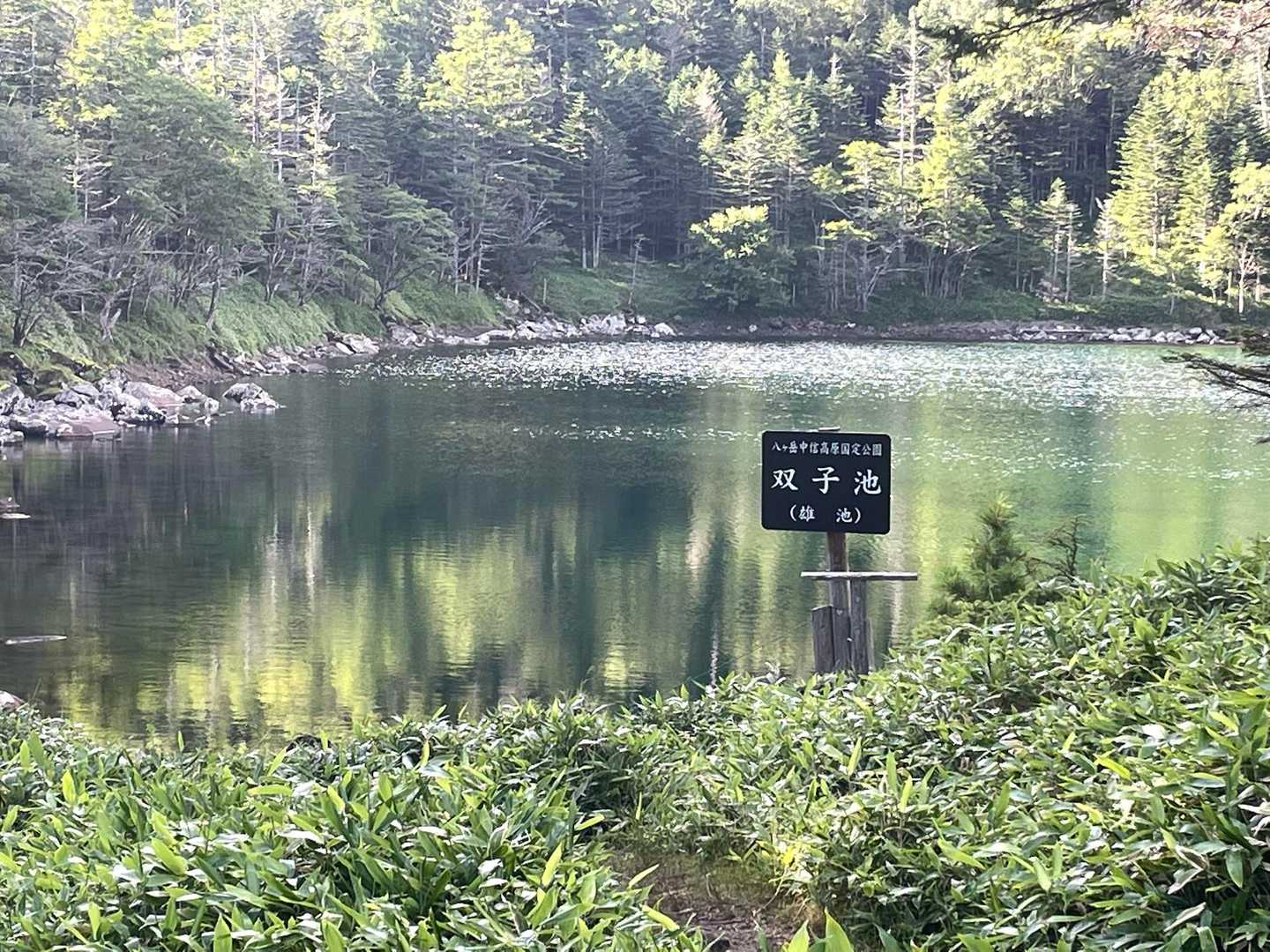 八ヶ岳最北端 蓼科山 大河原峠・双子池まったり周回 / だったんの登山