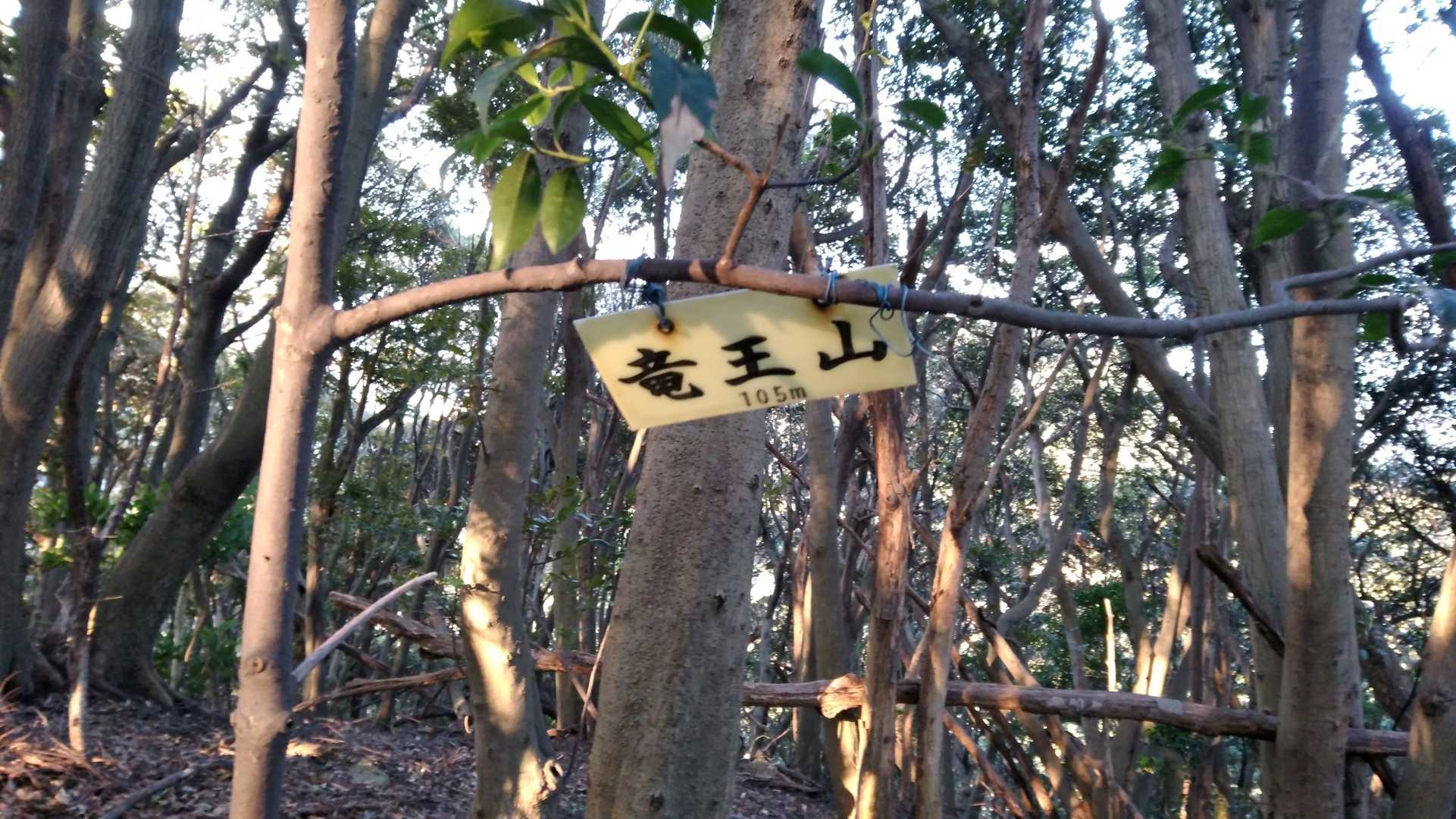 竜王山　頂上。(105m)