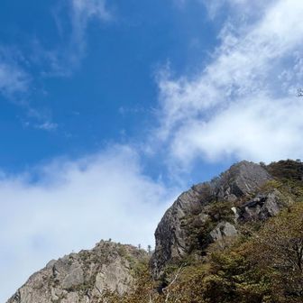 一気にテンションあがるぅーーー⤴️