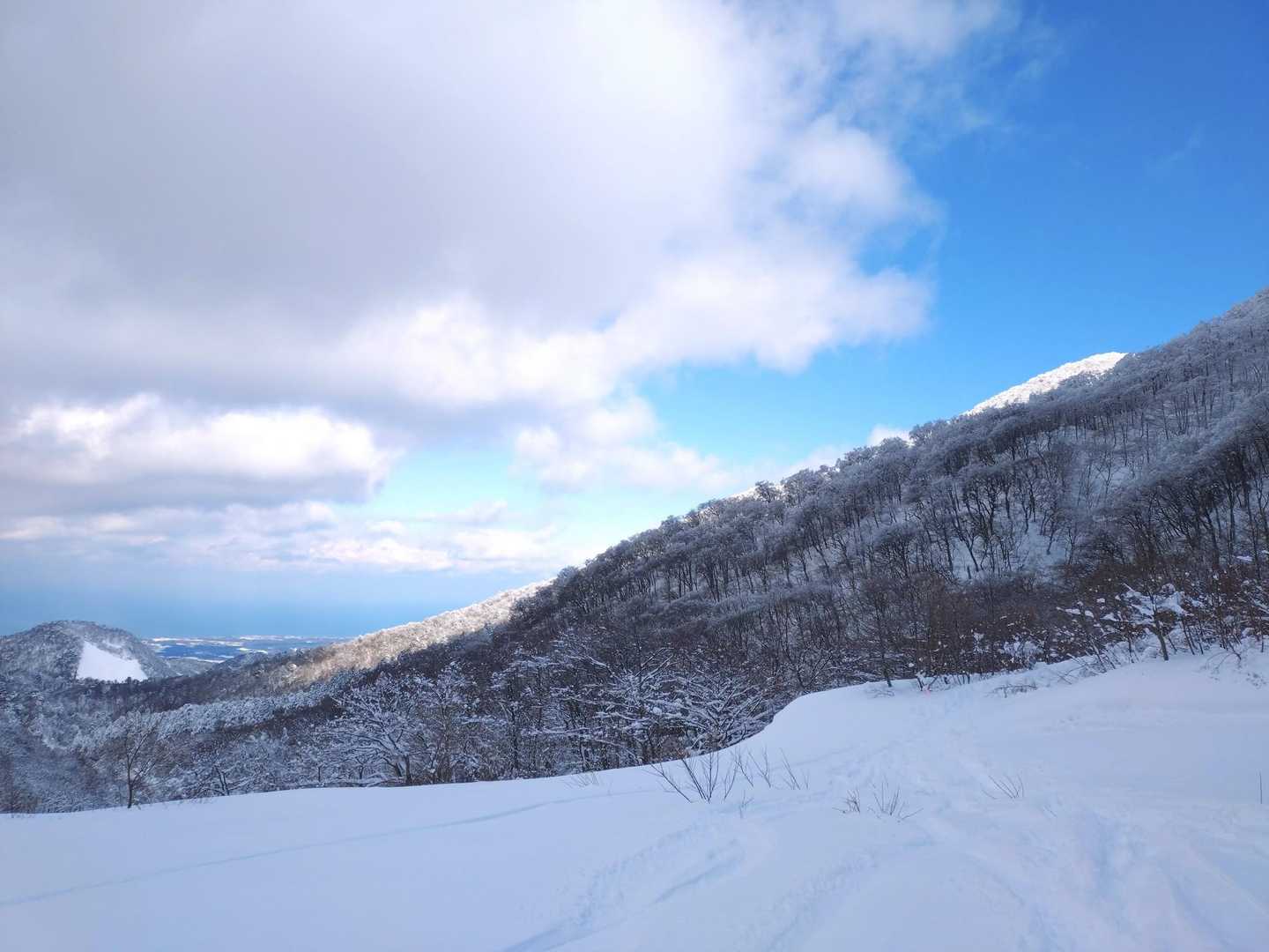 行者登山口-大山夏山登山口 周回コースの写真