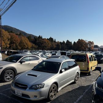 登山者用駐車場もメタセコイア観光の車で満車になってました