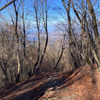 少し別ルートを回って下山。