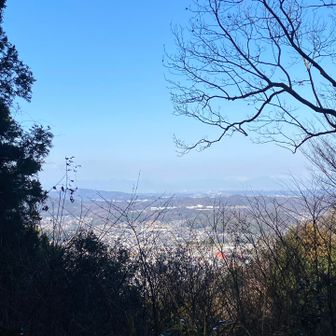 仙元山からの眺望