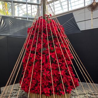 雪吊りしたポインセチアツリー