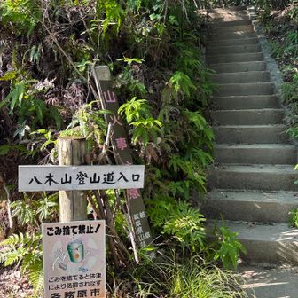 いゃ〜、ここでスマホまっかか😡バッテリー切れ、YAMAPストップ🛑
ありがとうYAMAPさん、お陰で無事に下山できました。
ここからはSちゃんのGoogle案内。