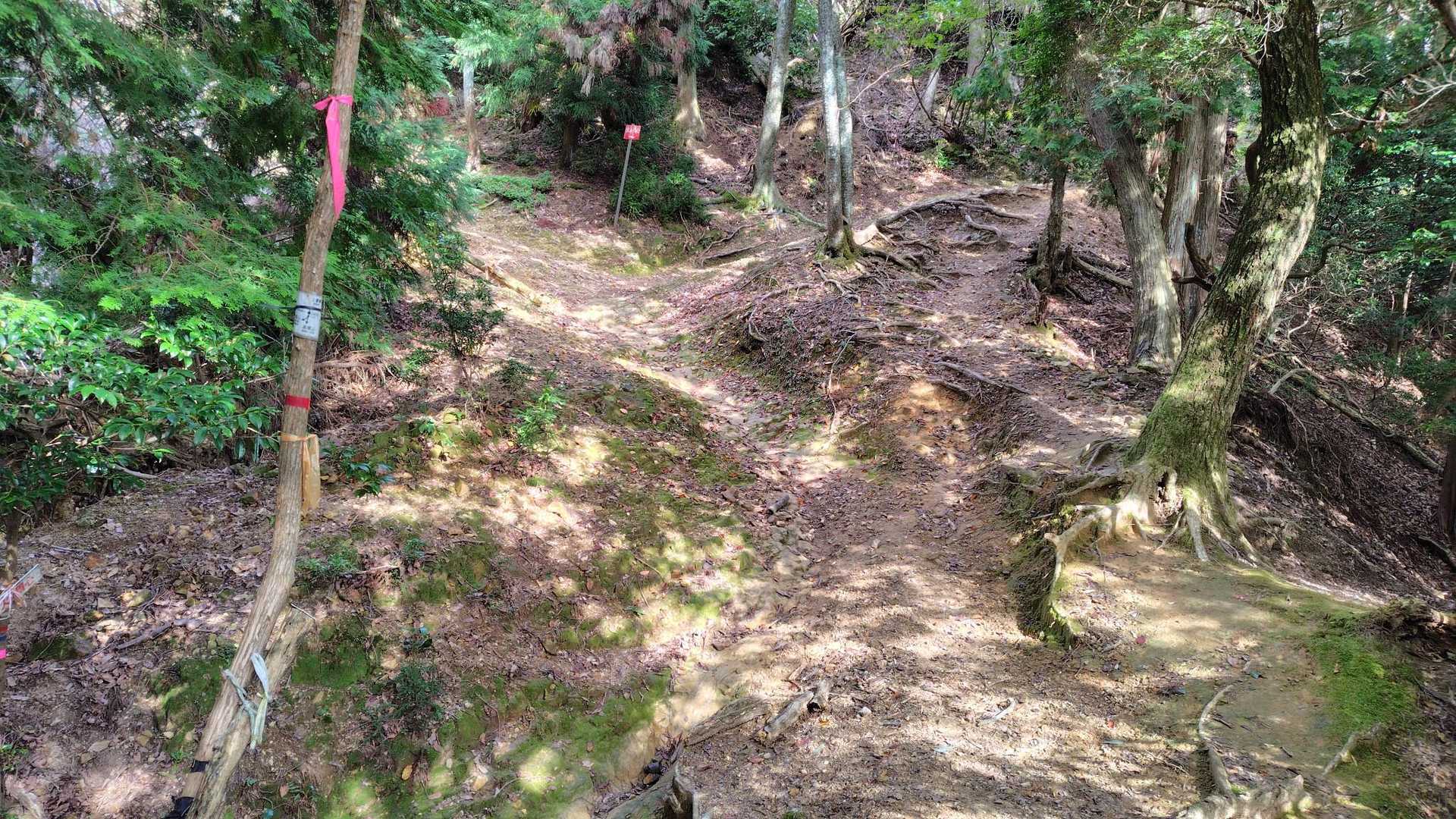 横嶺峠-高塚山 周回コースの写真