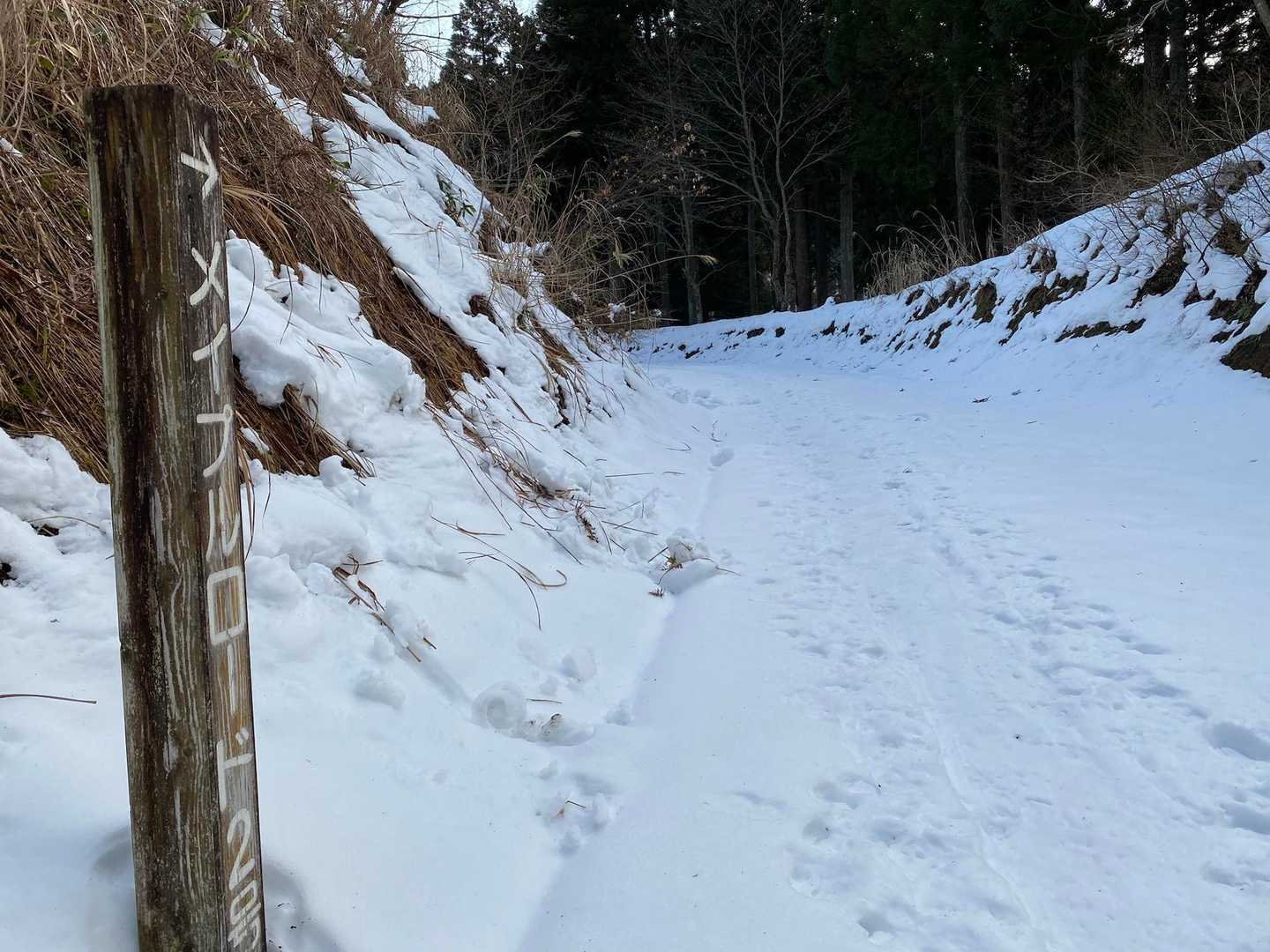 ここから除雪されてないので、雪道が始まる❄️