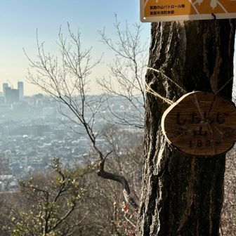黄砂でガスってる
