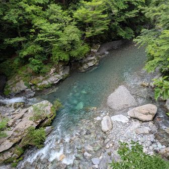 川は綺麗✨️