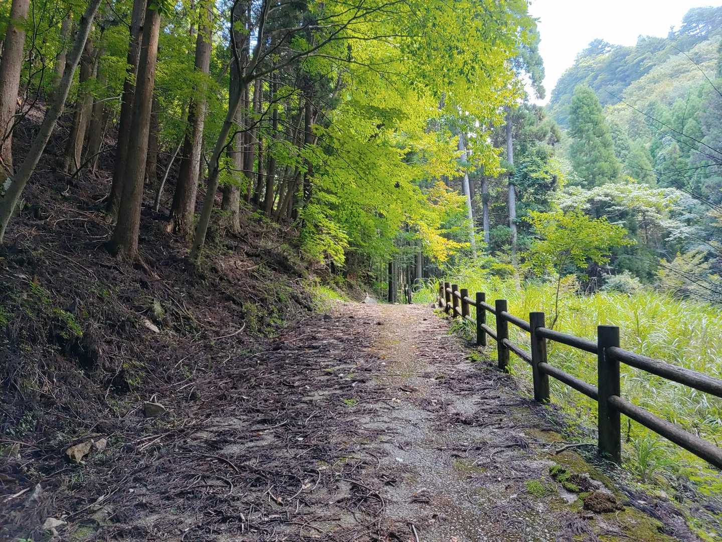 分岐からは少し急斜面💦