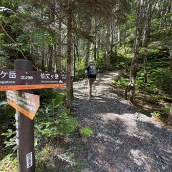 北沢峠から仙丈ヶ岳を目指します💪

殆どの方はこもれび山荘にチェックインするか、テントを張りに行くかしているため、こちらからすぐに登り始める方は少数でした。