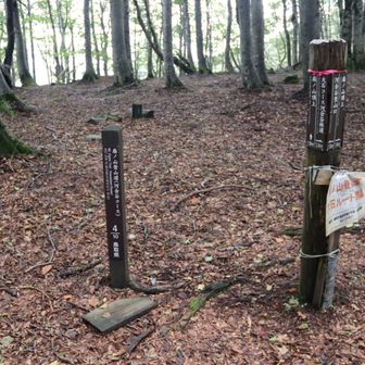 行きに気が付かなかった、ここが小ヅッコのようです。