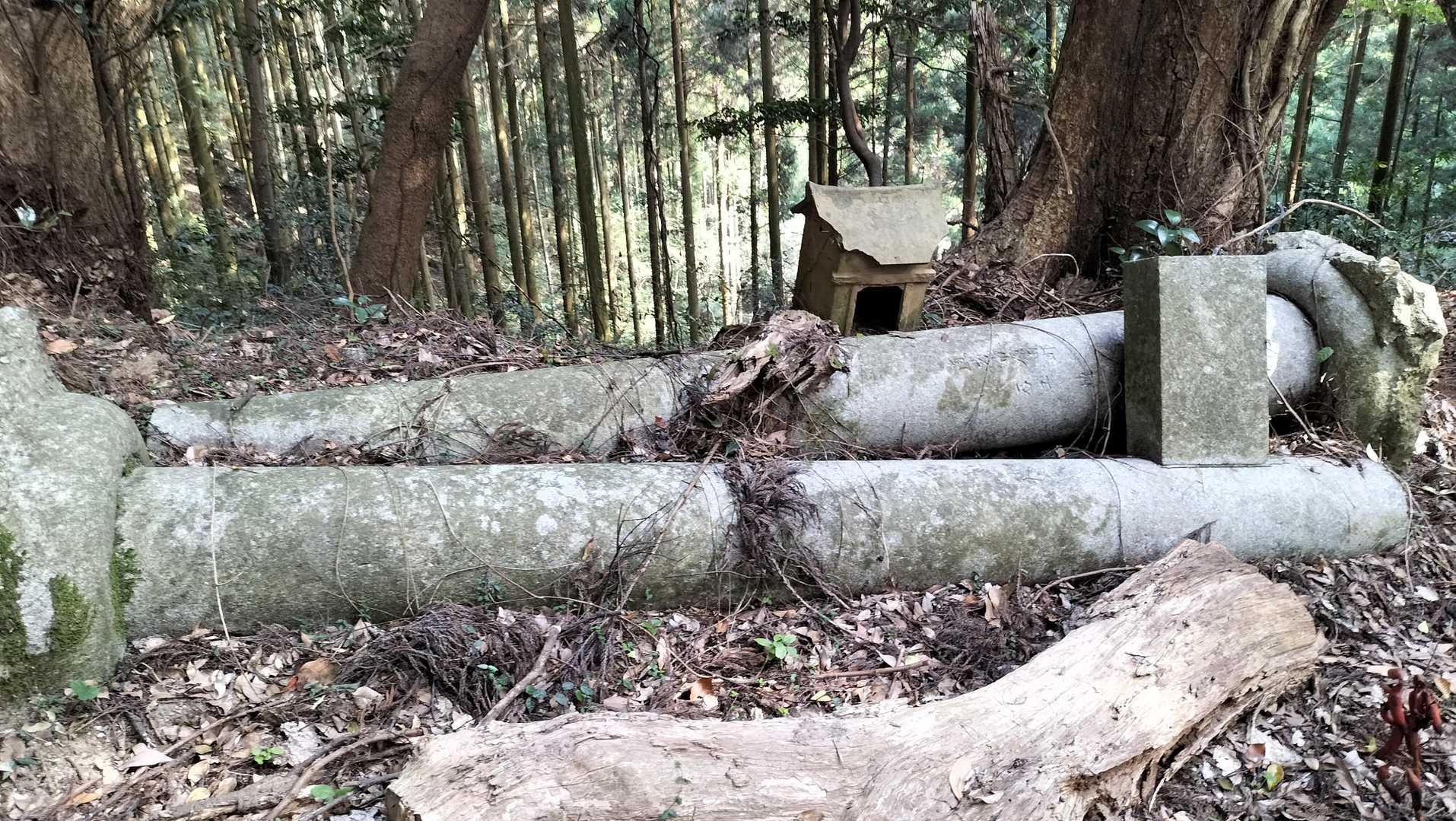 けっこう倒壊した鳥居があった。
