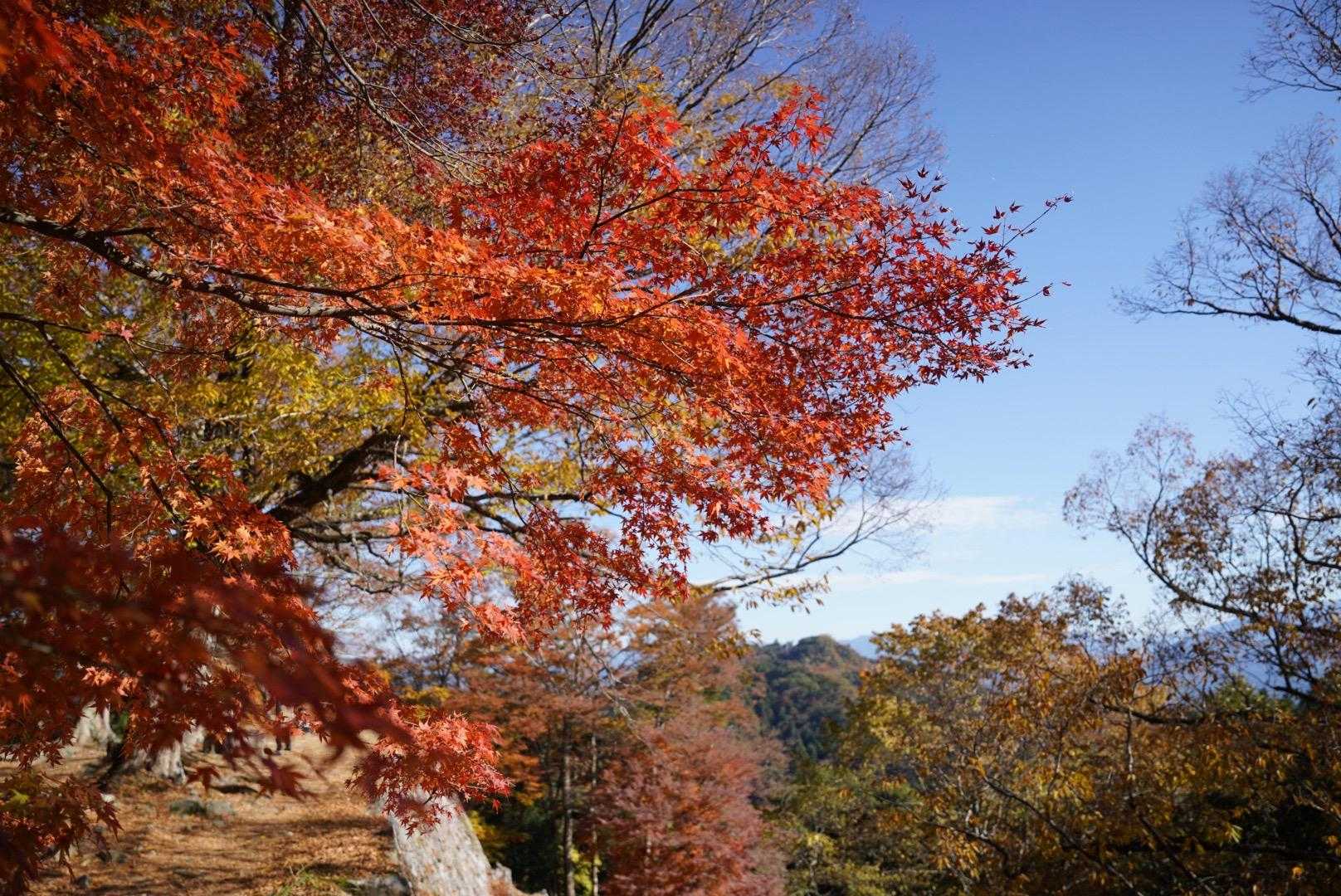 談山神社バス停-竜在峠-城ヶ峰-滝畑-芋ヶ峠-高取山-壺阪 縦走コースの写真