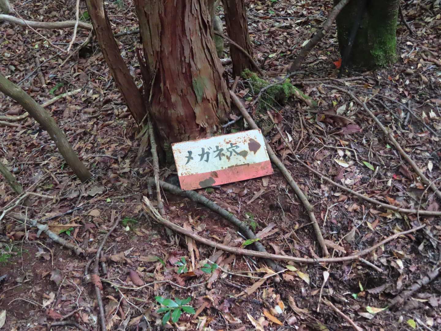 近くにあるメガネ穴へ行って見ます。YAMAP地図に記載はありません。勘任せです