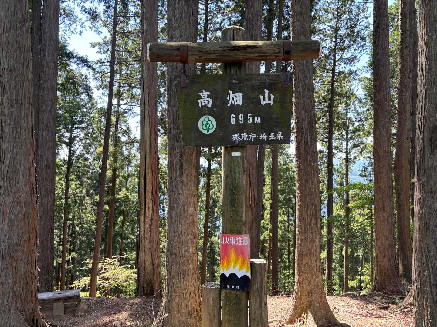 高畑山に来ました。