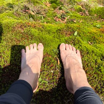 最高に気持ちいいな。
足湯ならぬ、足苔