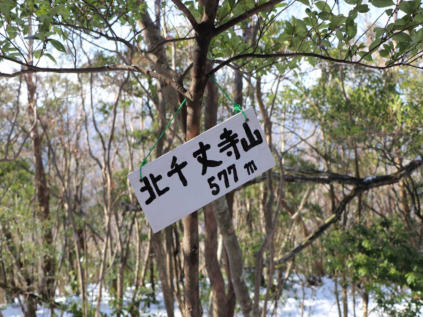 北千丈寺山-千丈寺山 往復コースの写真