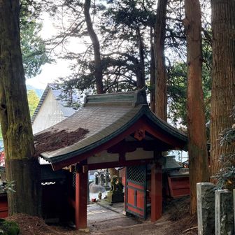 サクッと下山
飽きないけれど、急斜だった😓