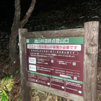 ここまでのアスファルト道が結構長いです