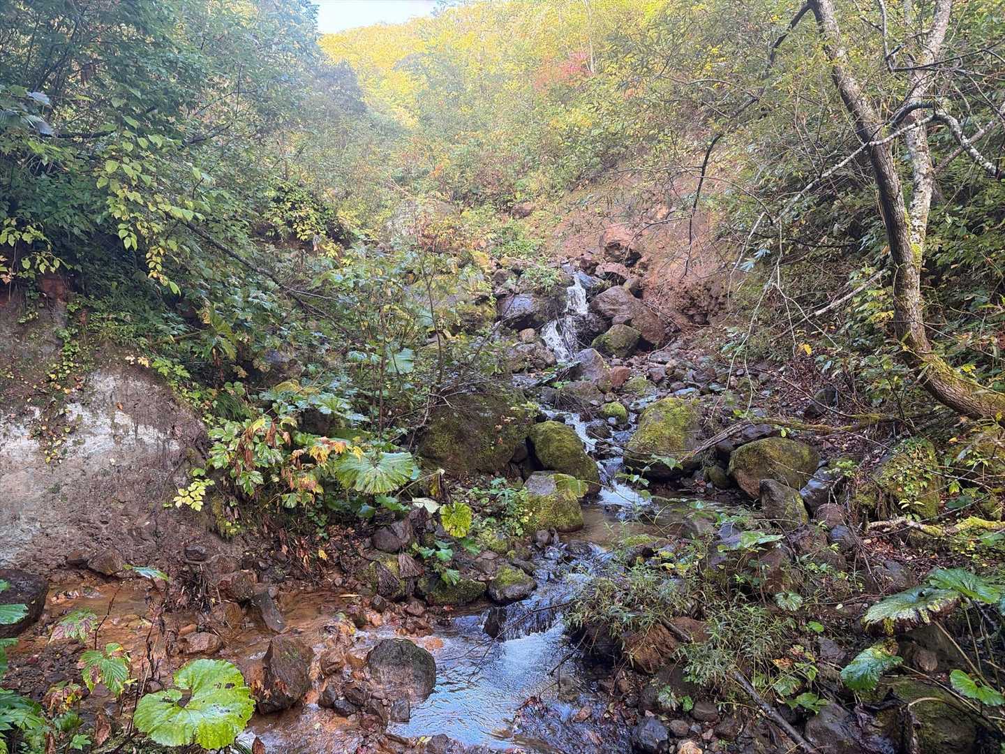 雄鉾岳 往復コースの写真