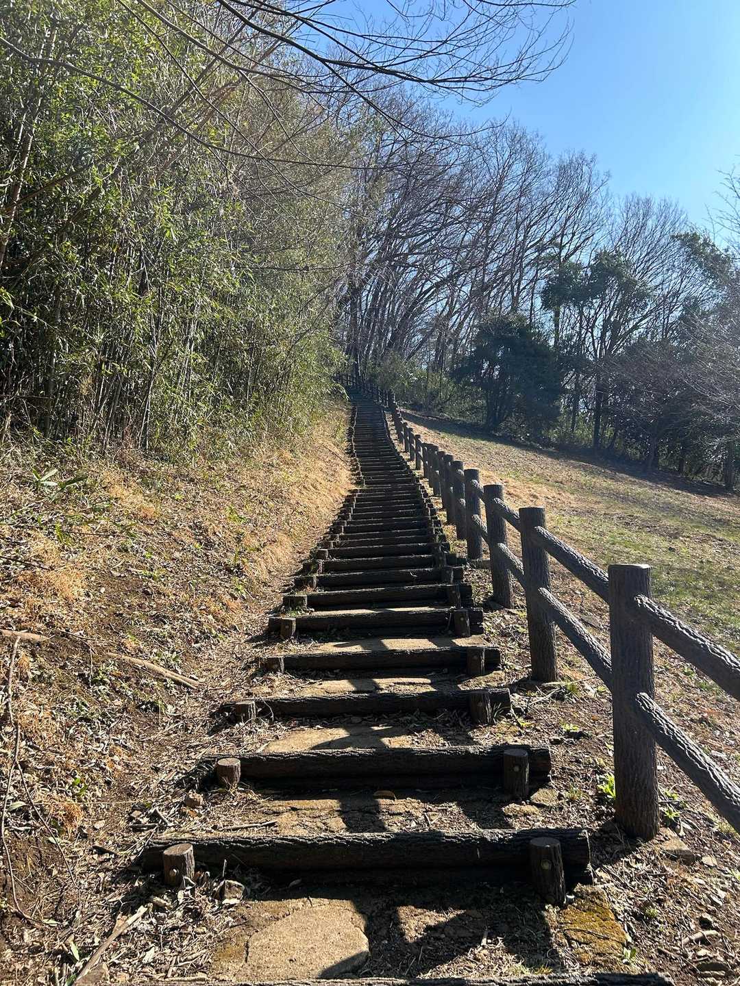 こちらから山頂まで軽く歩きます