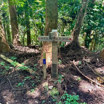 分岐点看板､アプリの地図では､かんぽの宿方面の登山道通行止めのまま🥲