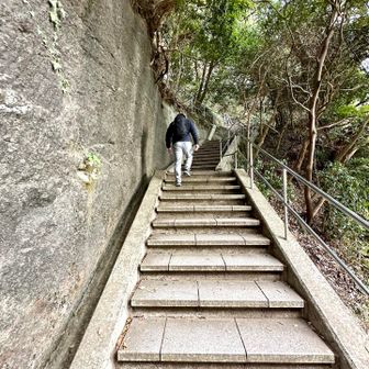 さらに上る💦友人が疲れた様子なので、展望台に寄ったらロープウェイで帰ることに