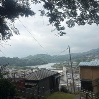 湖に見える川