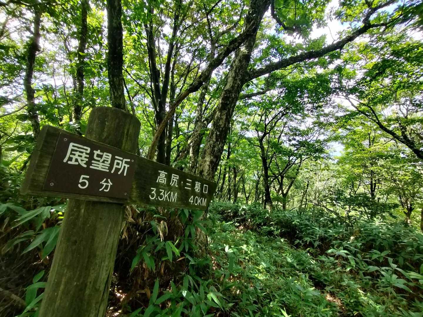 笹繁茂
足元注意⚠️