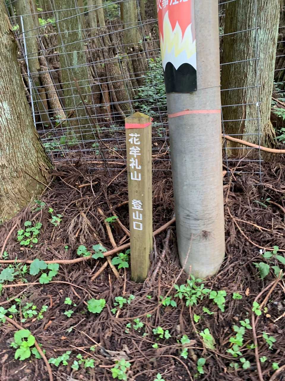 花牟礼山 往復コースの写真