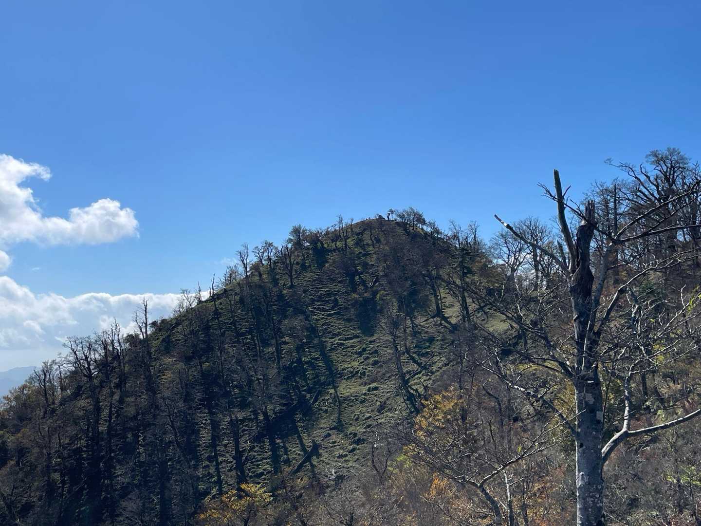 雲早山登山口-雲早山 往復コースの写真