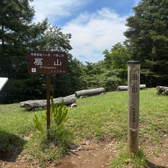 山頂は太陽が照りつけてかなり暑い🥵