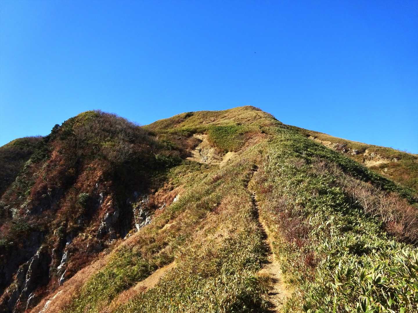 冠山峠-桧尾峠-白倉岳-金草岳 往復コースの写真