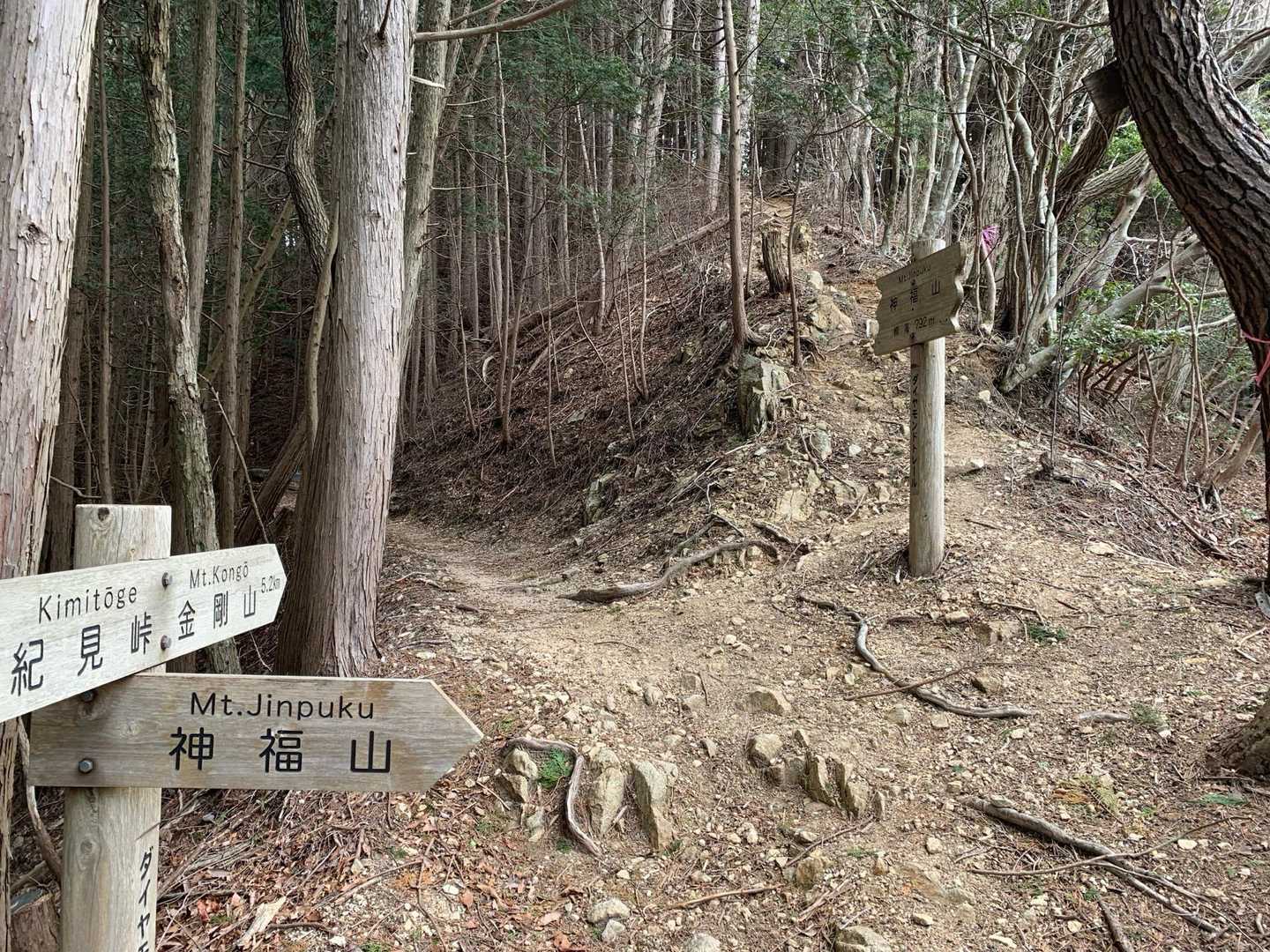 ここから神福山へ登ります