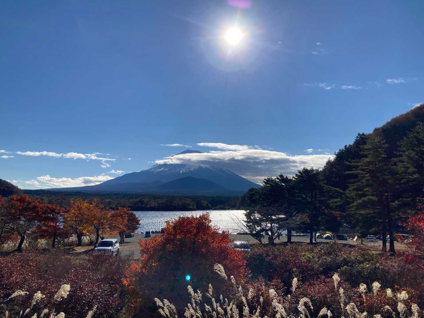 パノラマ台下バス停-パノラマ台入口-根⼦峠-パノラマ台-精 周回コースの写真