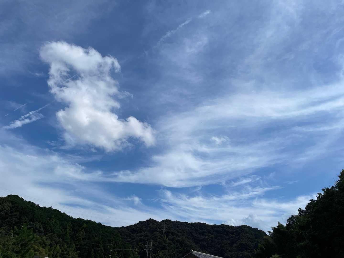隙間時間にちょうど良い散歩コースでした☘️