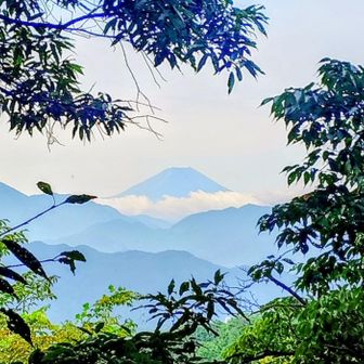 高尾山山頂で富士山楽しんでから､小仏城山方面へ〜
雲が高いから富士山バッチリ♪まるで秋のようだなぁ〜
もみじ台ベンチ付近の吸い殻などのゴミ回収〜♪