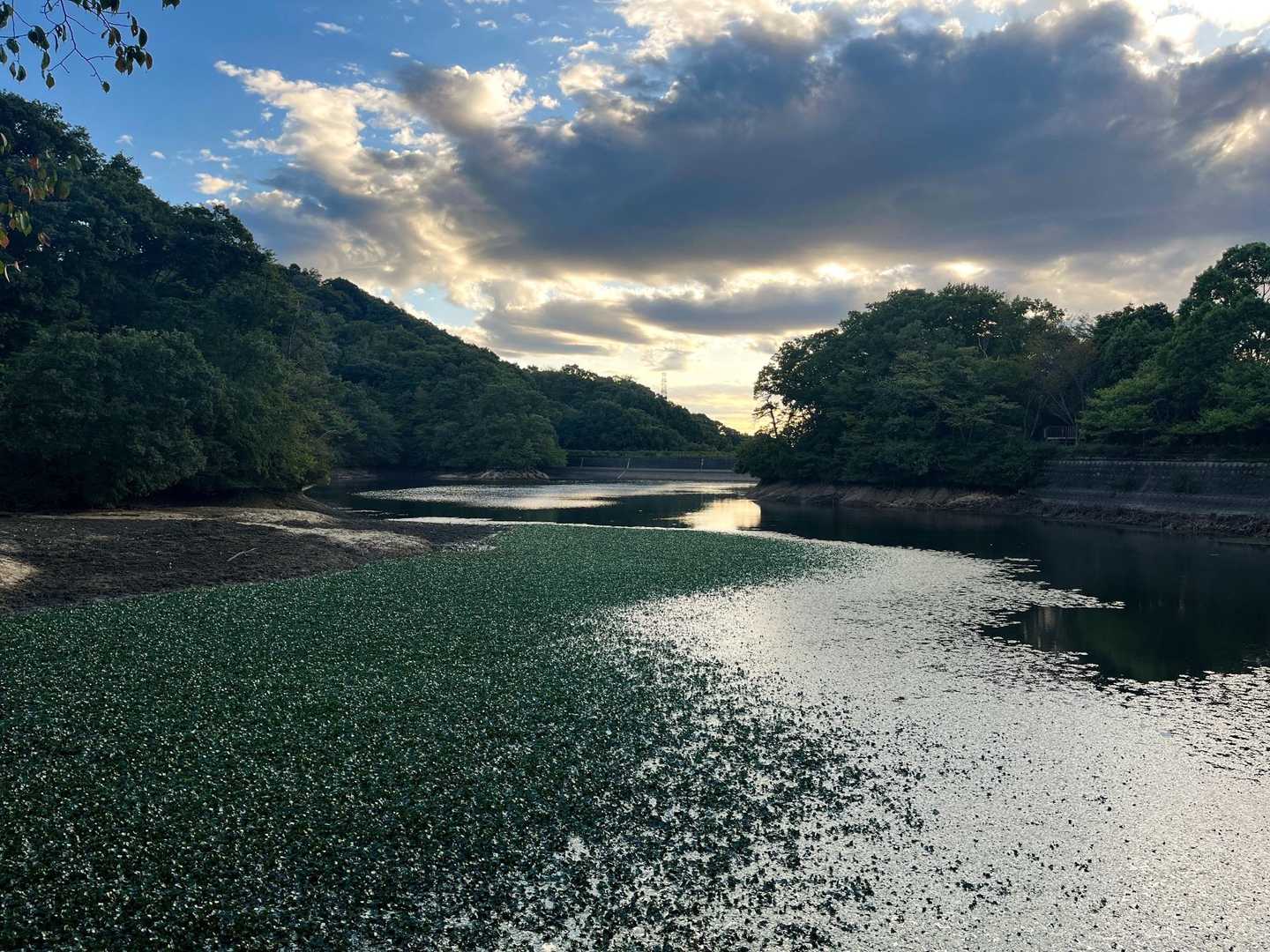 池