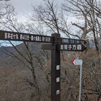 笹子駅へ戻ります😊