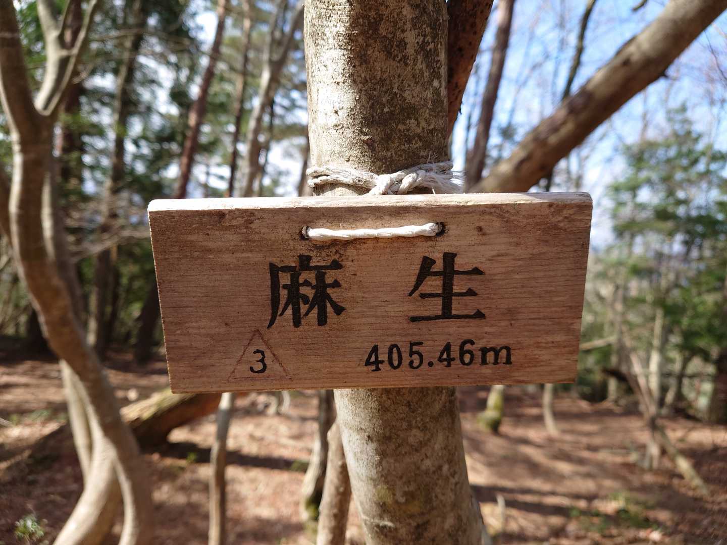 麻生（三等三角点）