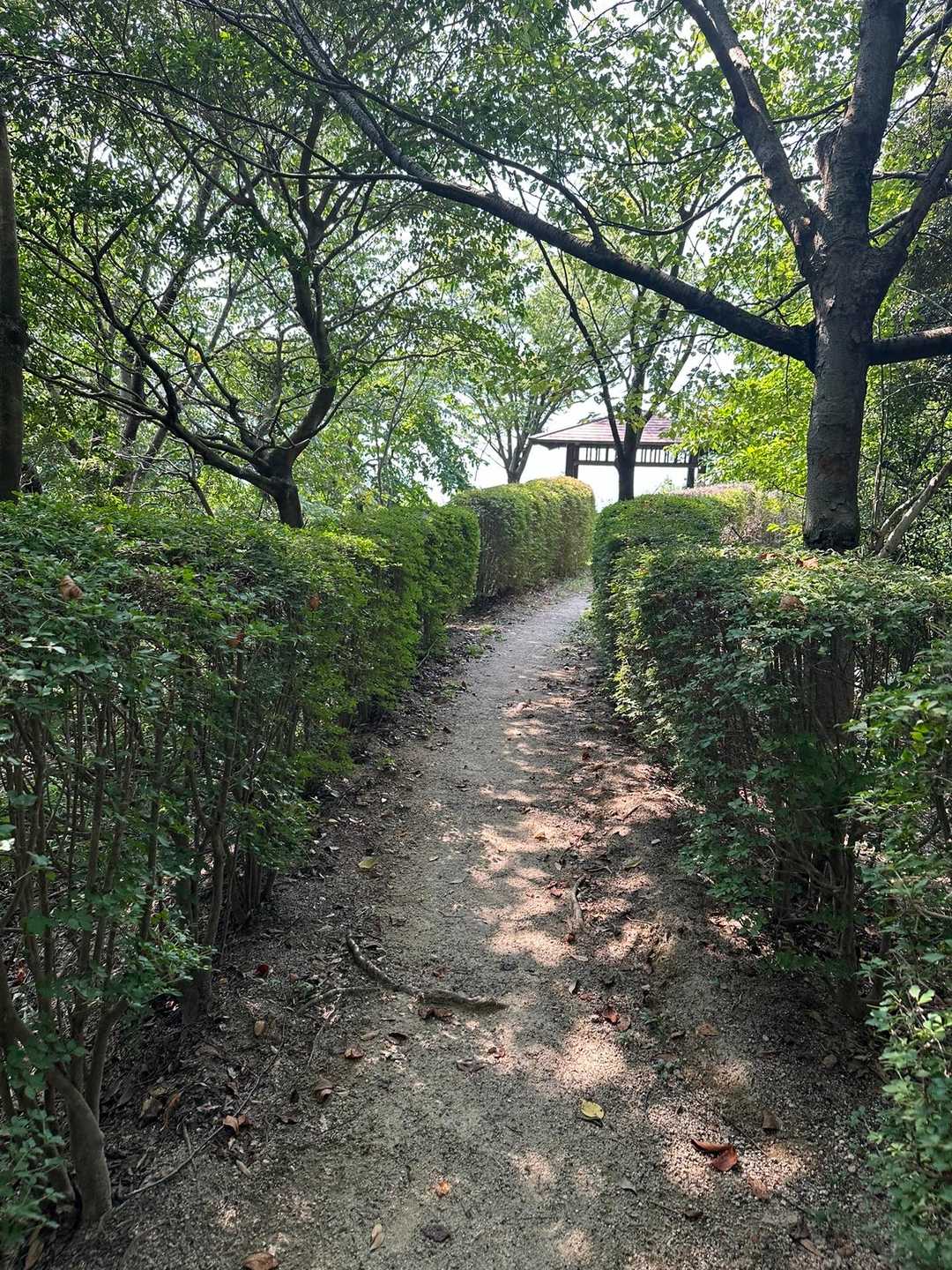 大城山登山道入口-大城山-大城自然の宝道登山口 周回コースの写真