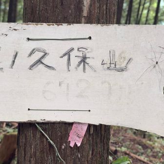 荏ノ久保山登頂672mも一つ