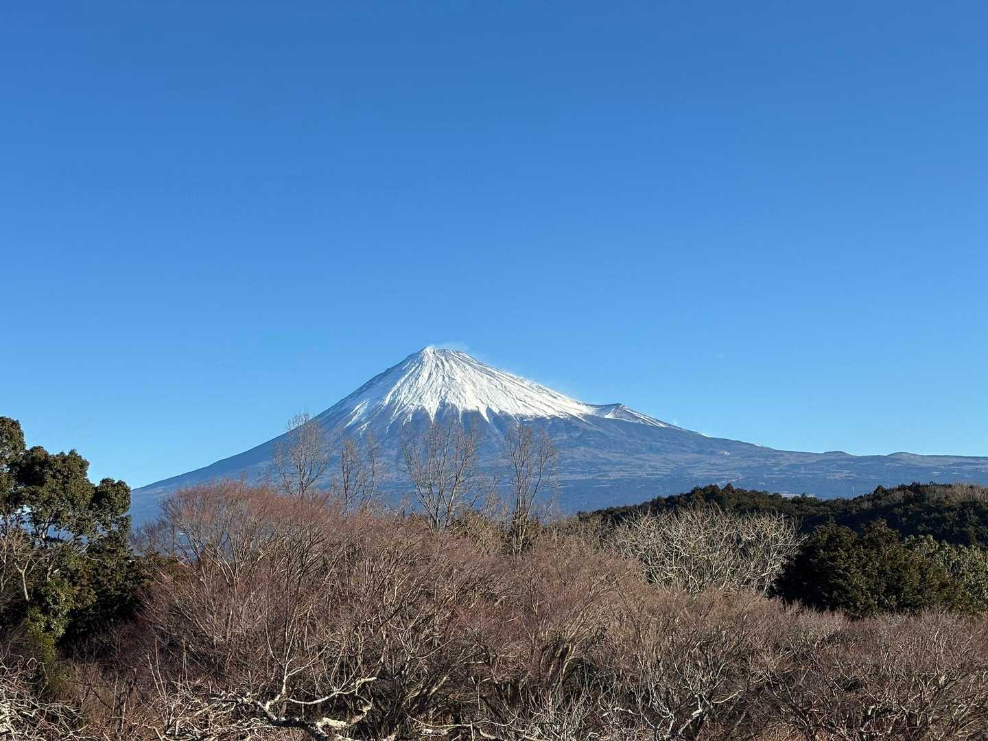 岩本山 往復コースの写真