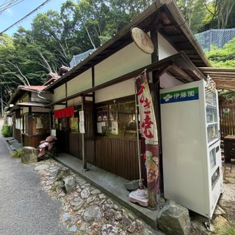 いつもの熊🐻さんお出迎え