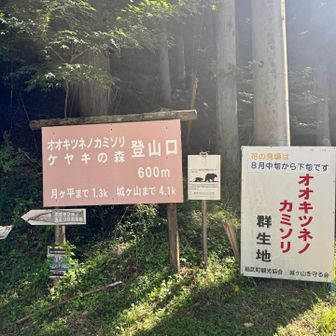 駐車場の目の前が登山口💪
