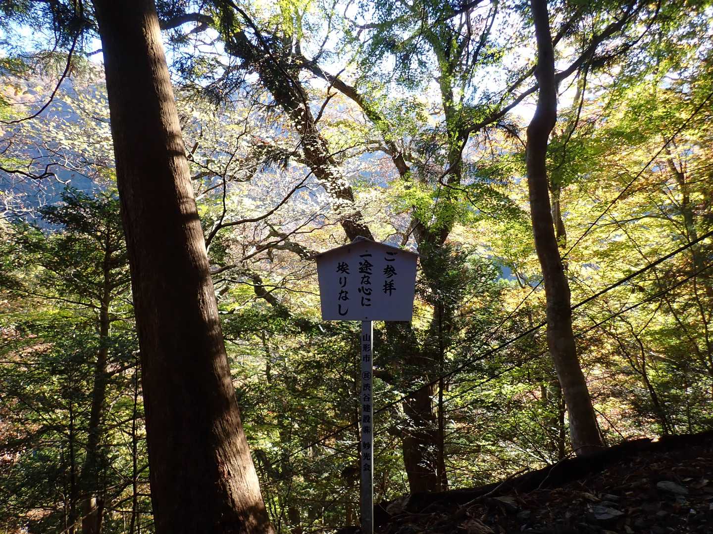 ご参拝一途な心に埃なし、こんな立て札が多数
