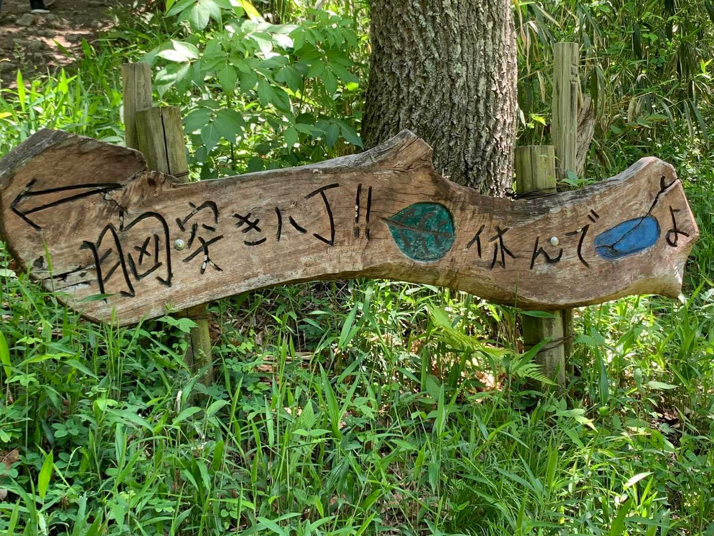 枚岡駅-枚岡神社-神津嶽-神津嶽ふれあい広場 縦走コースの写真