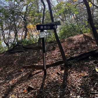 いったん降りて矢尾峠到着。鼻高山に向かいます。